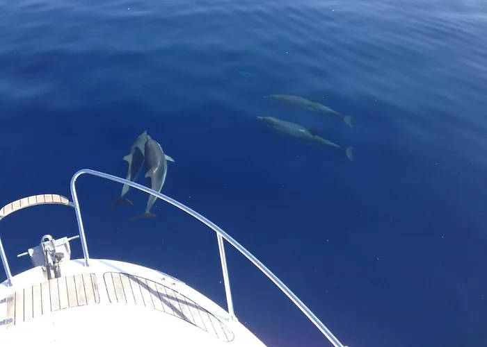 Alojamento de Acomodação e Pequeno-almoço Duomo 4*